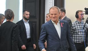 Kiedy poznamy kandydata KO na prezydenta? Tusk podał datę