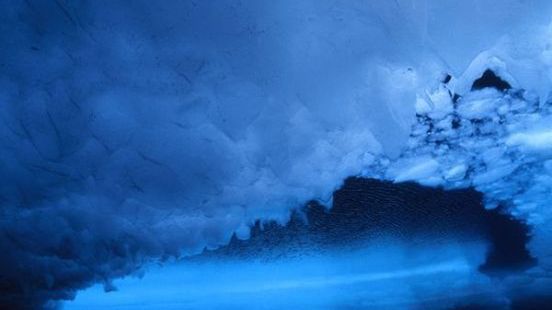 Błękitne zdjęcia National Geographic 1