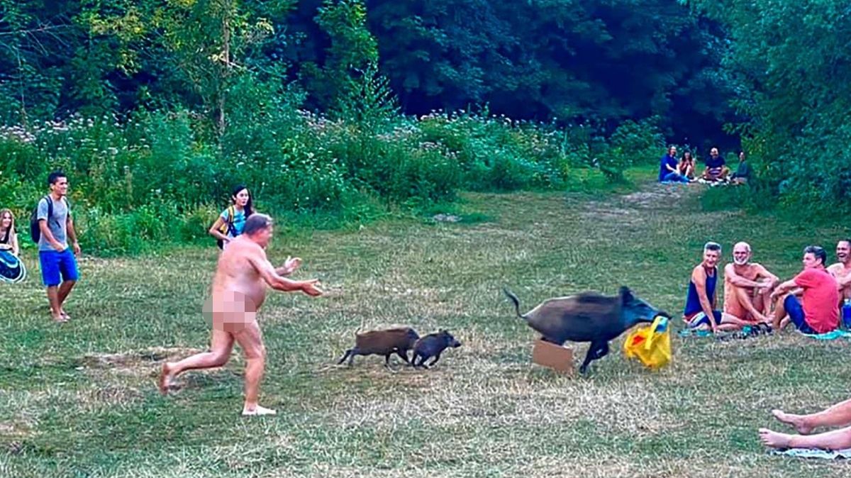 Mężczyzna rzucił się w pogoń za dzikiem