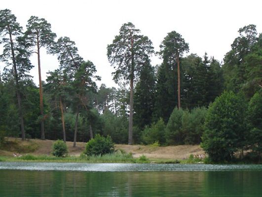 Obraz
