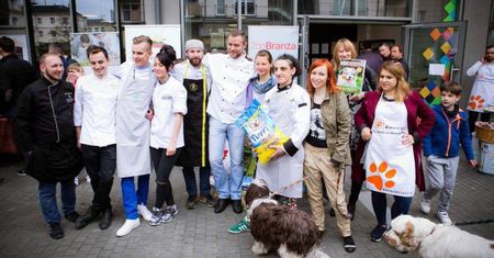 Master Chefs 4 Dogs. Przynieś karmę dla zwierząt i skosztuj potraw mistrzów kuchni