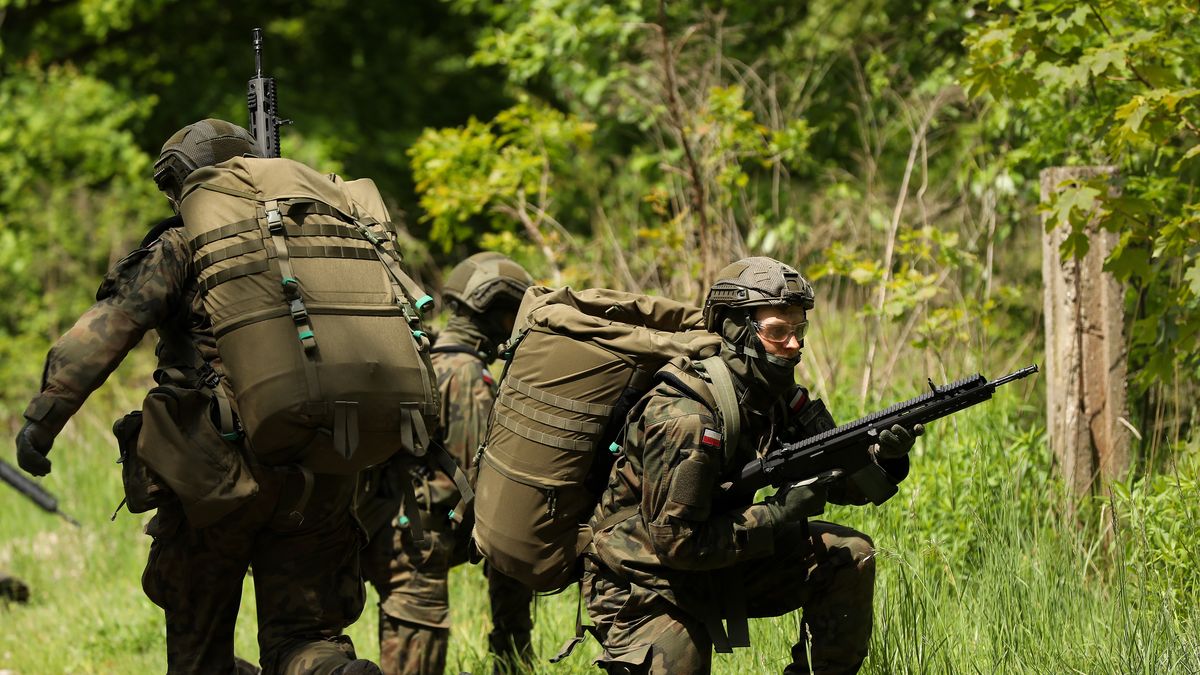 Polacy zabrali głos. Czy są gotowi bronić ojczyzny?
