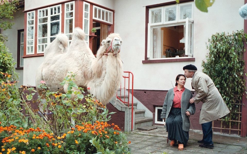 Obraz