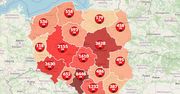 Koronawirus w Polsce. Mapa pokazuje prawie 25 tys. chorych. Na świecie COVID-19 też nie spowalnia