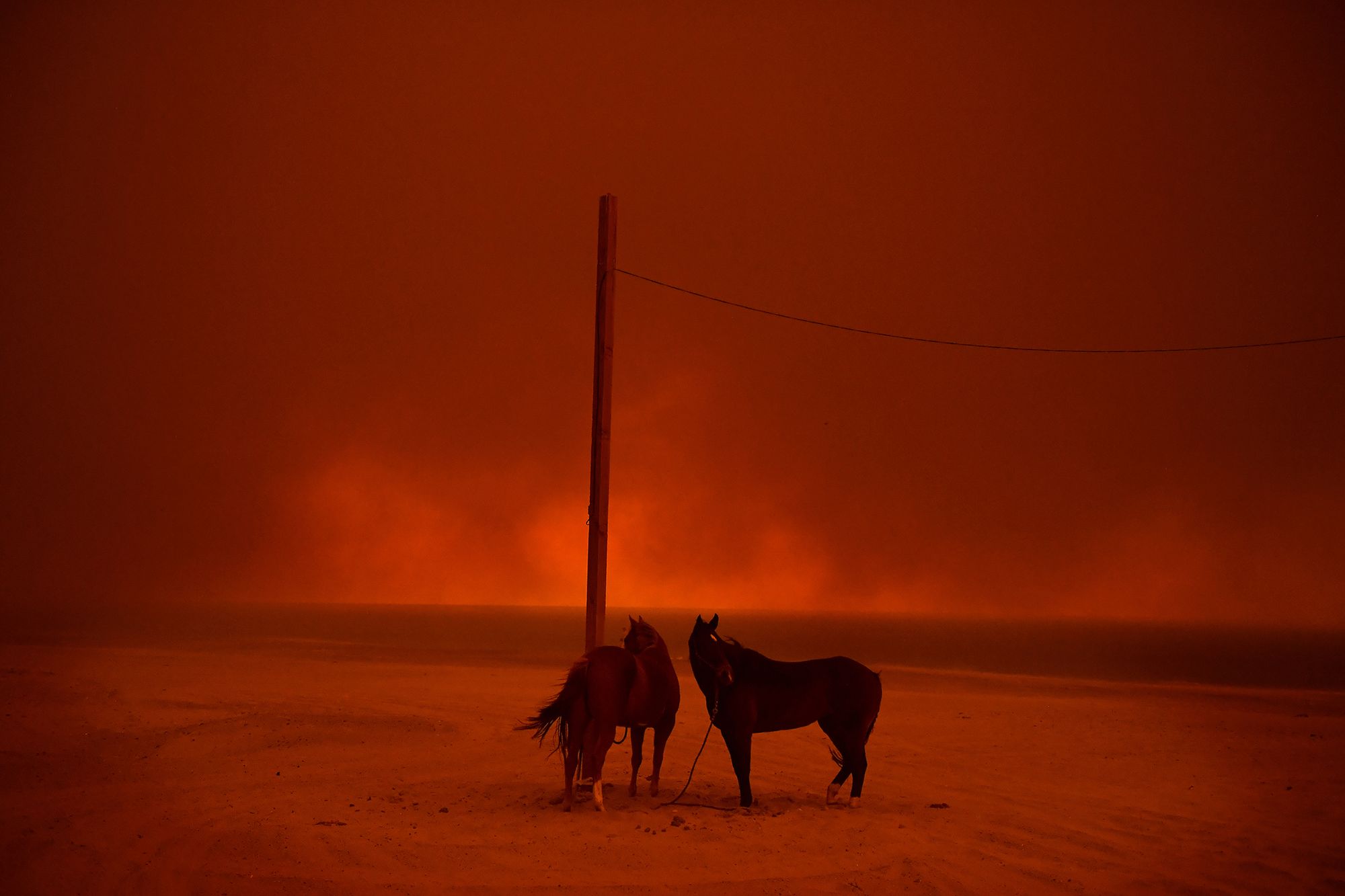 World Press Photo 2019 – znamy nominowanych fotografów 36
