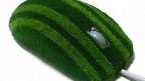 Myszka wyścielona trawą od artysty z Japonii 1