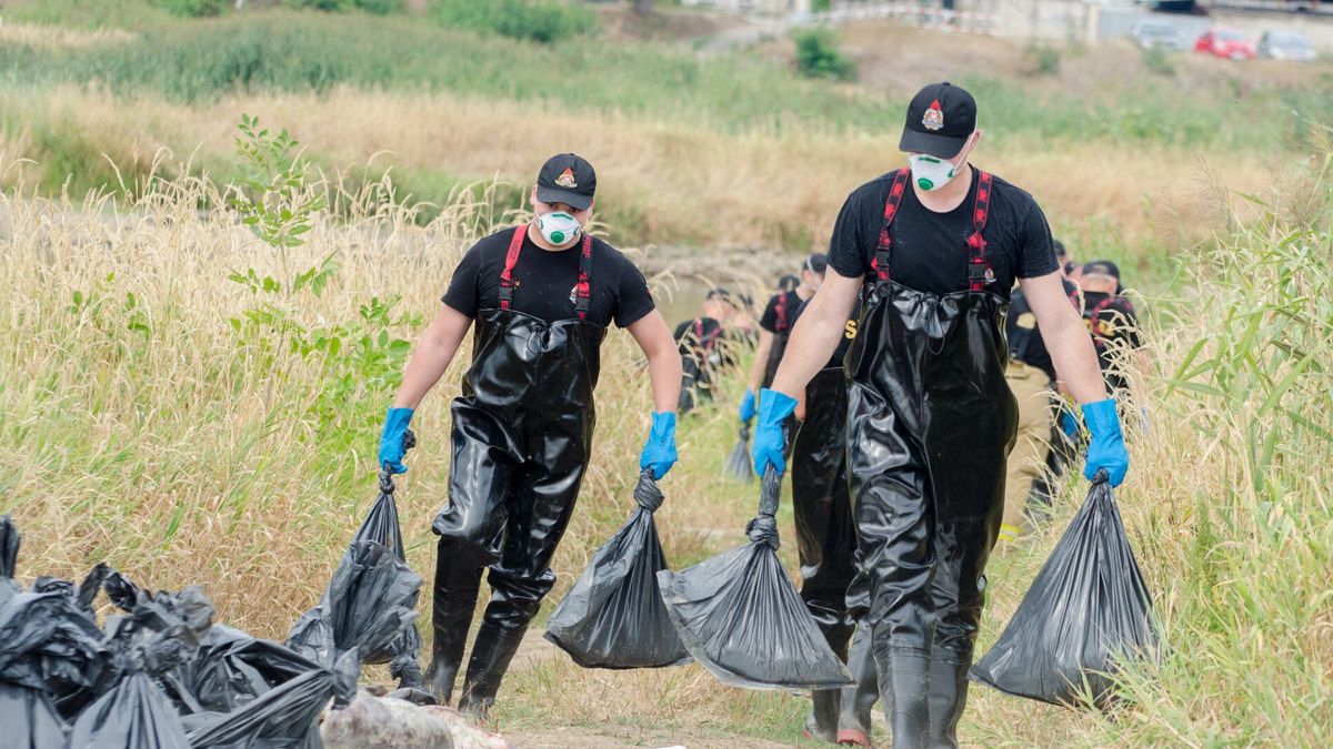 Katastrofa ekologiczną na Odrze. Niemcy komentują słowa polskiej minister
