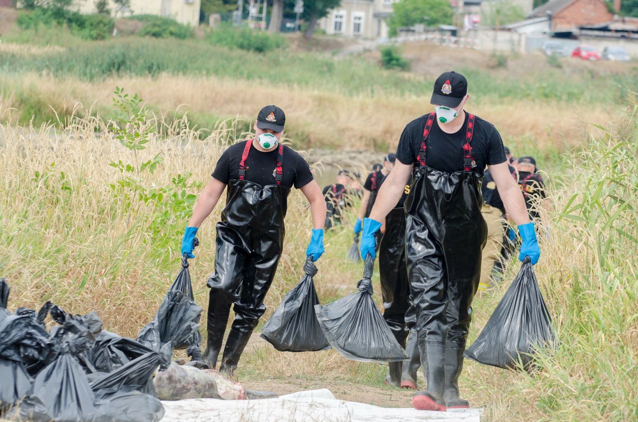 Berlin zasmucony oskarżeniami polskiego rządu. "To nie są fake newsy"