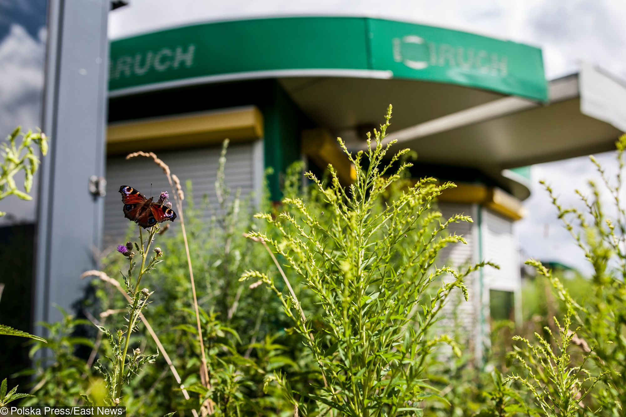 Niezwykłe miejsce pod Łodzią. Cmentarzysko i parking kiosków Ruchu 8