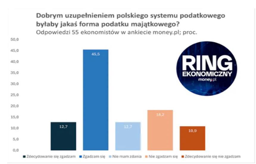 Ring ekonomiczny