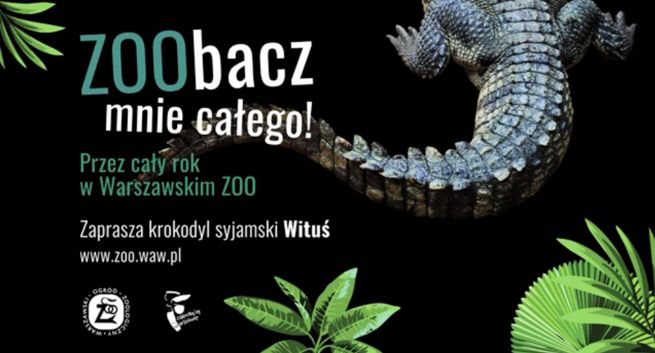 ZOO w Warszawie zachęca do zimowego zwiedzania