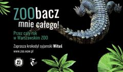 ZOO w Warszawie zachęca do zimowego zwiedzania