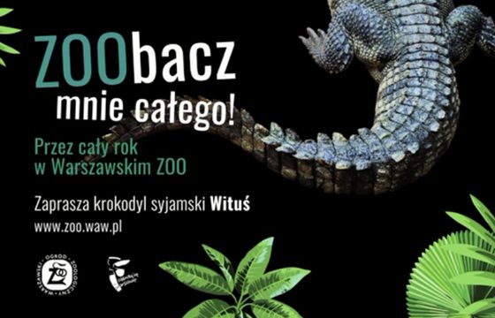 ZOO w Warszawie zachęca do zimowego zwiedzania