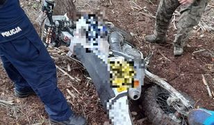 66-latek jeździł crossem po lesie. Teraz odpowie przed sądem