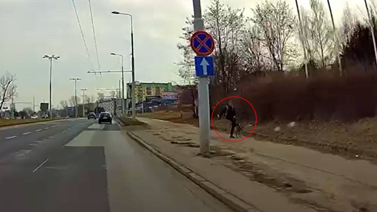 Mężczyzna kopnął psa podczas spaceru na ul. Mełgiewskiej w Lublinie