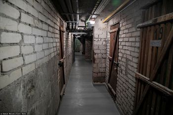 Wyrzuć te przedmioty z piwnicy. Kara do 5 tys. zł