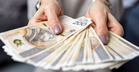 W tej branży w Polsce płacą fortunę. Zarobki sięgają 53 tys. zł