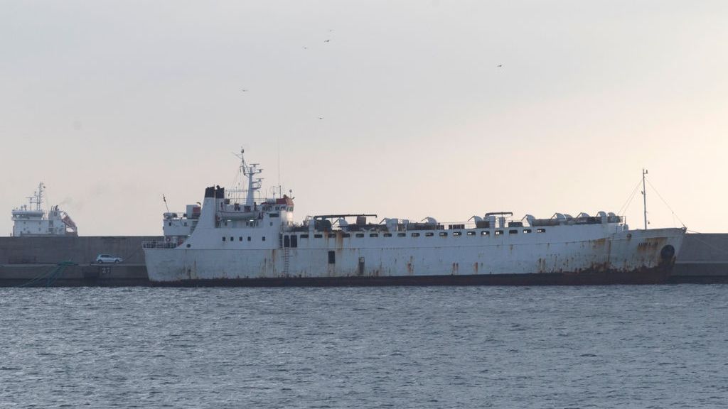 Statki przewożące bydło tułają się po morzu