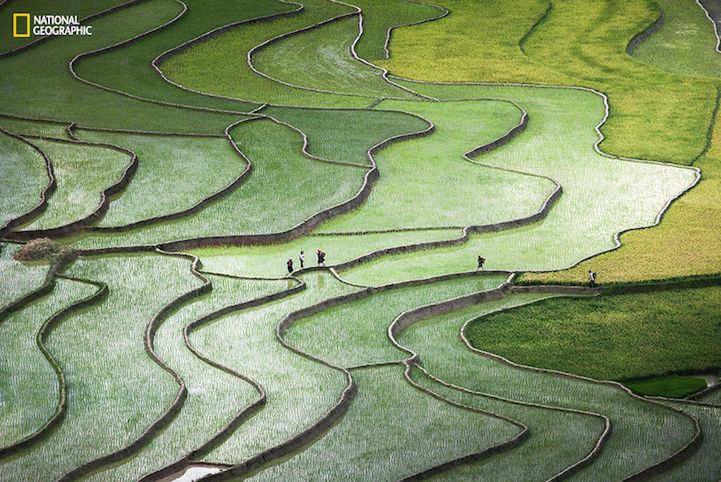 National Geographic Photo Contest 2015 - galeria pierwszych imponujących zdjęć zgłoszonych do konkursu 2
