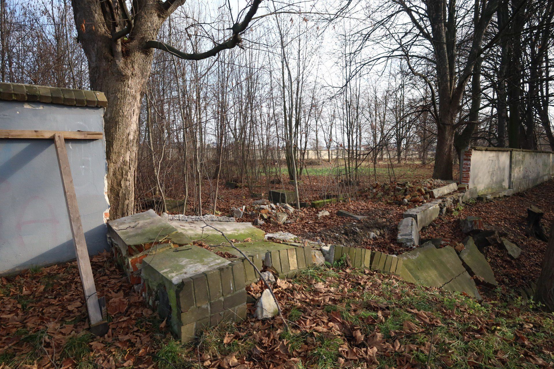 Cmentarz Żydowski w Rzeszowie