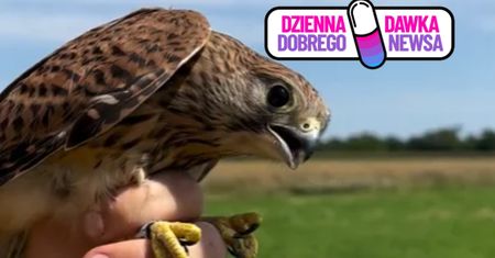 Walczyły o zdrowie, teraz znów są wolne. Piękny finał 12 historii