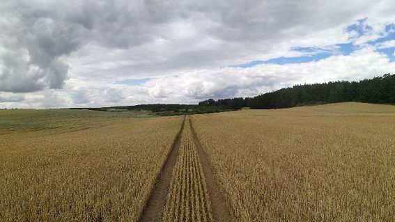 Susza geeneruje kolejne problemy