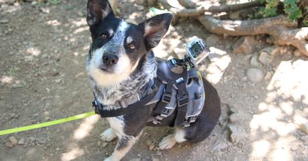 Nie tylko selfie stick - inne zastosowania kamerki GoPro