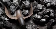 Węgiel na giełdzie tańszy, a w Polsce podwyżki. "Kosmiczne ceny"