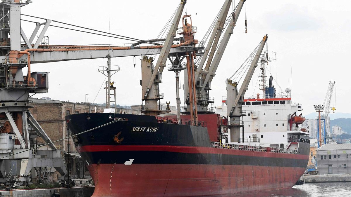 Temporary
This photograph taken on September 18, 2023, shows a Turkish ship sailing under the Panamaian flag loading Ukrainian grain from silos in the port of Rijeka in Croatia. Ukraine has been exporting grain through the northern Croatian port of Rijeka for more than a year as Zagreb aims to increase exports of the war-wracked country's crops. Despite being hundreds of miles from Ukraine's western border, Croatia has become an unlikely transit point for the country's grains due to the ongoing Black Sea blockade by the Russians. Approximately 100,000 tons of Ukrainian corn and wheat have been exported from Rijeka port since May 2022. (Photo by Denis LOVROVIC / AFP)
DENIS LOVROVIC