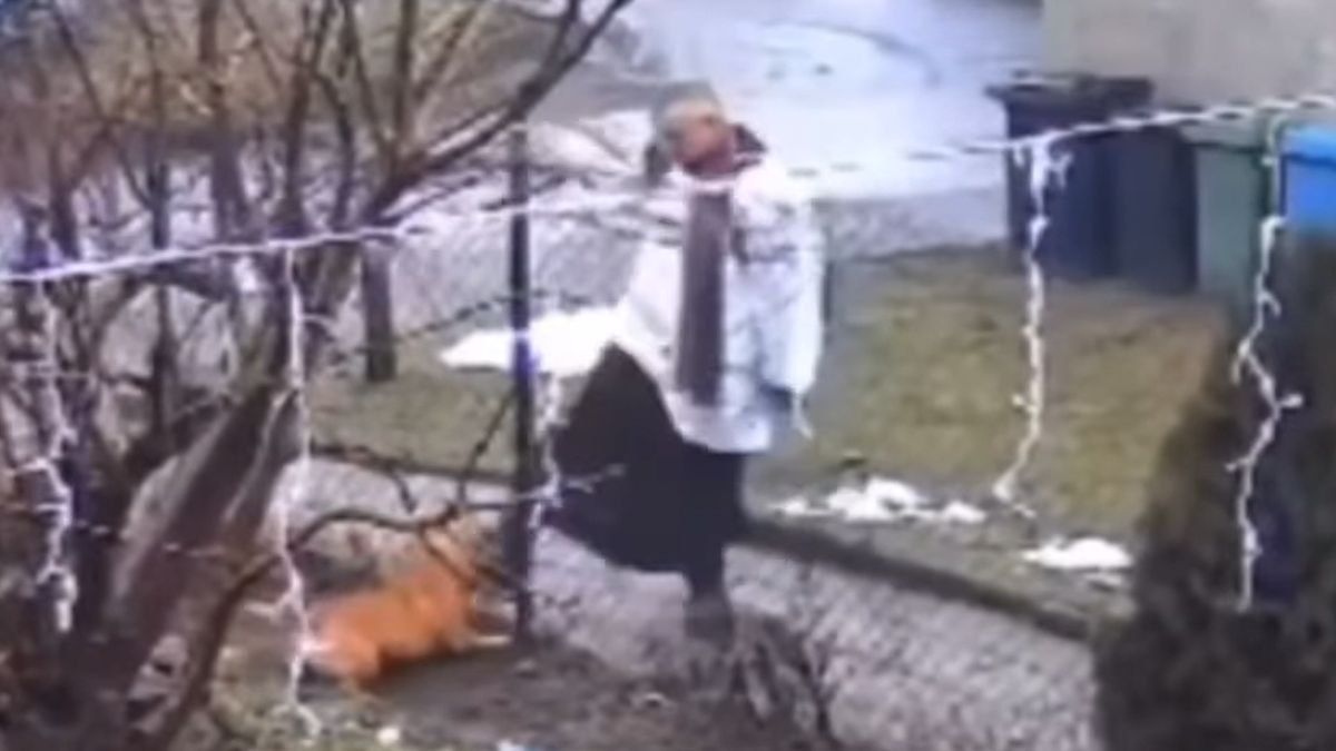 Ksiądz został ukarany za 