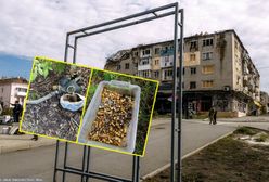 Złote zęby i maska gazowa. Przerażające odkrycie w Ukrainie