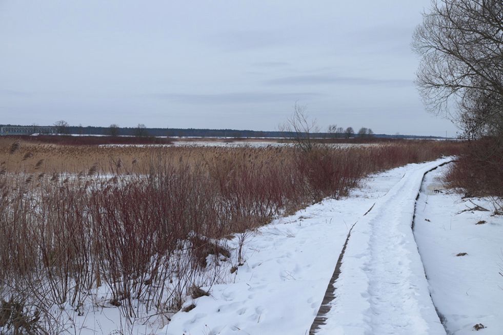 Fujifilm X-T1 – wyrachowany profesjonalista bez lustra [test] 58