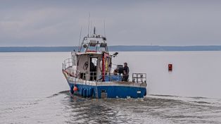 80 załóg ruszyło na Zalew. Zaczęły się żniwa