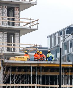 Chcą stworzyć nowe ministerstwo. Posłanka pokazuje szczegóły