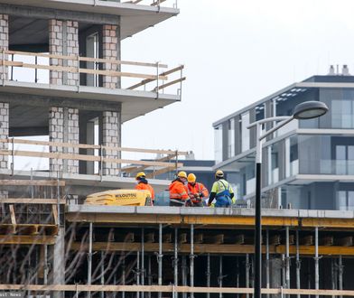 Chcą stworzyć nowe ministerstwo. Posłanka pokazuje szczegóły