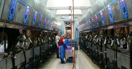 Spółka dnia: Agroton najlepszy na GPW. Odrabia straty