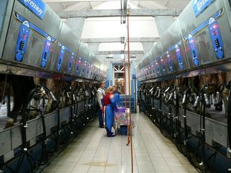 Spółka dnia: Agroton najlepszy na GPW. Odrabia straty