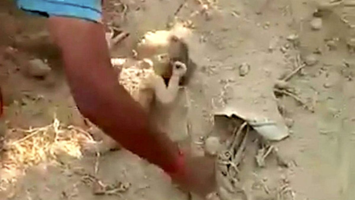 Indie. Niemowlę znalezione pod ziemią