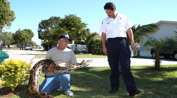 Policja dla zwierząt w Miami