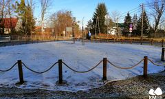 Bielsko-Biała. Kwiaty i zieleń umilą czekanie na autobus. W pobliżu przystanków powstaną łąki kwietne