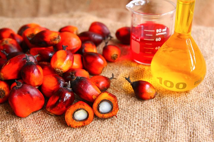 Przemysłowy olej palmowy (utwardzony tłuszcz cukierniczy)