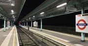 Wypuścili je w Londynie. Efekt zachwycił mieszkańców