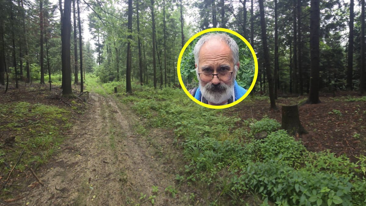 Kiedy na grzybobranie? Trzeba trochę poczekać.