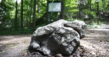 Jura Krakowsko-Częstochowska: Rezerwat Parkowe otwiera się na spacery z psami