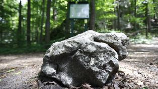Jura Krakowsko-Częstochowska: Rezerwat Parkowe otwiera się na spacery z psami