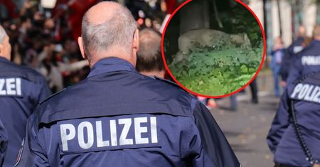 "Dzikie zwierzę" pod Berlinem. Apel policji