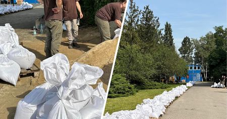 Zoo we Wrocławiu się przygotowuje. Mówią o "wszelkich scenariuszach"