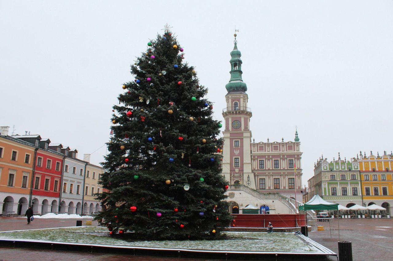 Zamość: Będą trzy choinki. Prezydent o dekoracjach na Rynku Wielkim