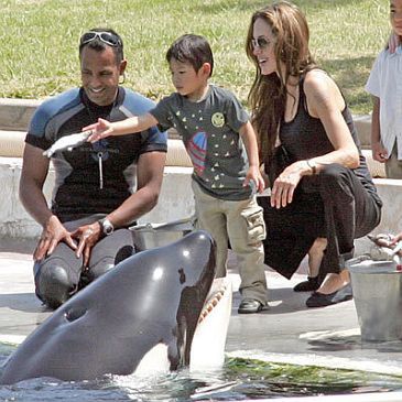 Angelina z dziećmi karmią orkę (zdjęcia)