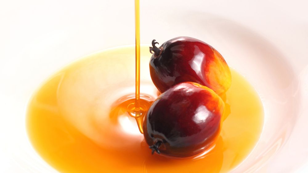 Przemysłowy olej palmowy (utwardzony) do bitej śmietany